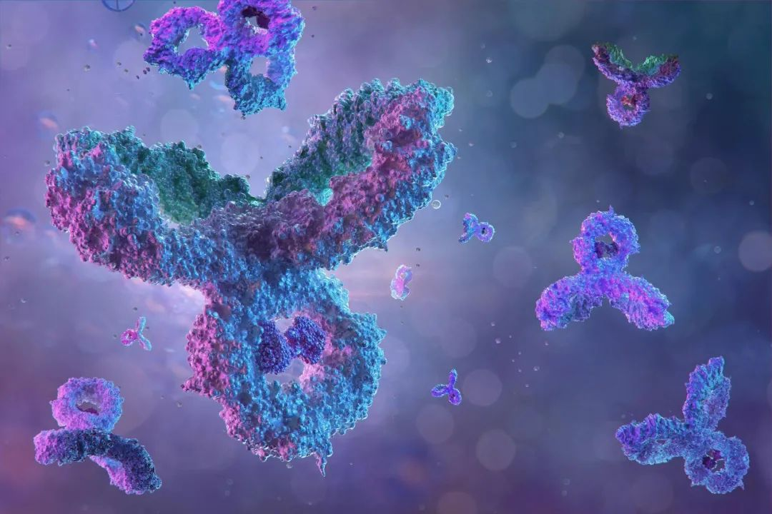 在 NovoCyte Penteon 上评估免疫细胞产生细胞因子的能力