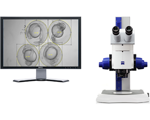 DanoScope斑马鱼幼鱼和胚胎分析系